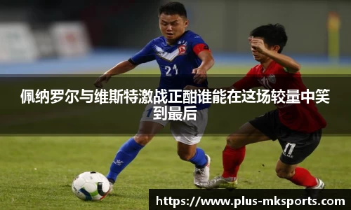 mk体育官方网站